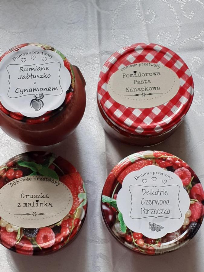 Agroturystyka Nasza Bajka Pieniezno Экстерьер фото
